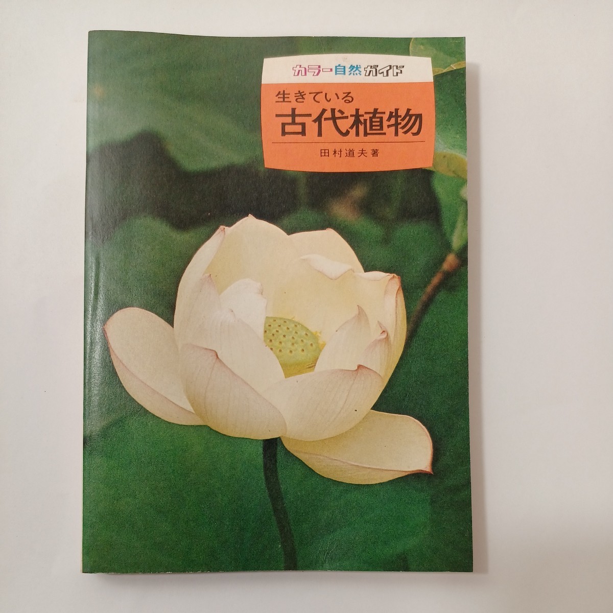 zaa-451♪生きている古代植物 (1974年) (カラー自然ガイド) 1974/1/1 田村 道夫 (著) 保育社 (1974/1/1)拍卖
