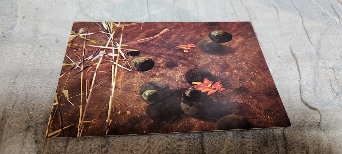 0688 絵葉書 阿寒国立公園 阿寒湖のマリモ拍卖