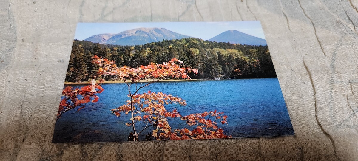 0703 絵葉書 阿寒国立公園 秋のオンネトー拍卖