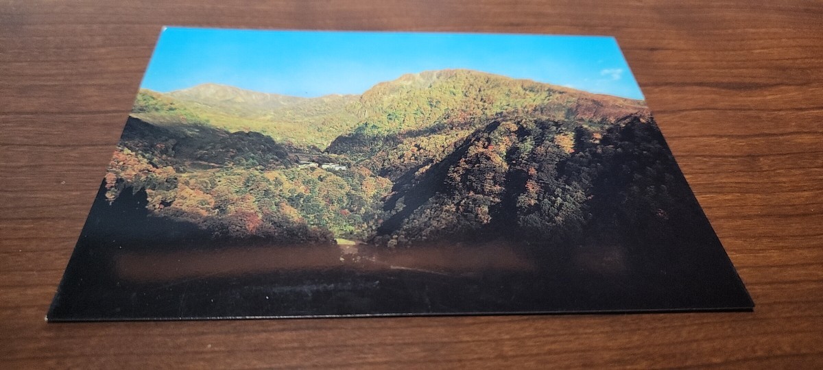 1213 絵葉書 妙高高原 関見峠より燕温泉全景拍卖