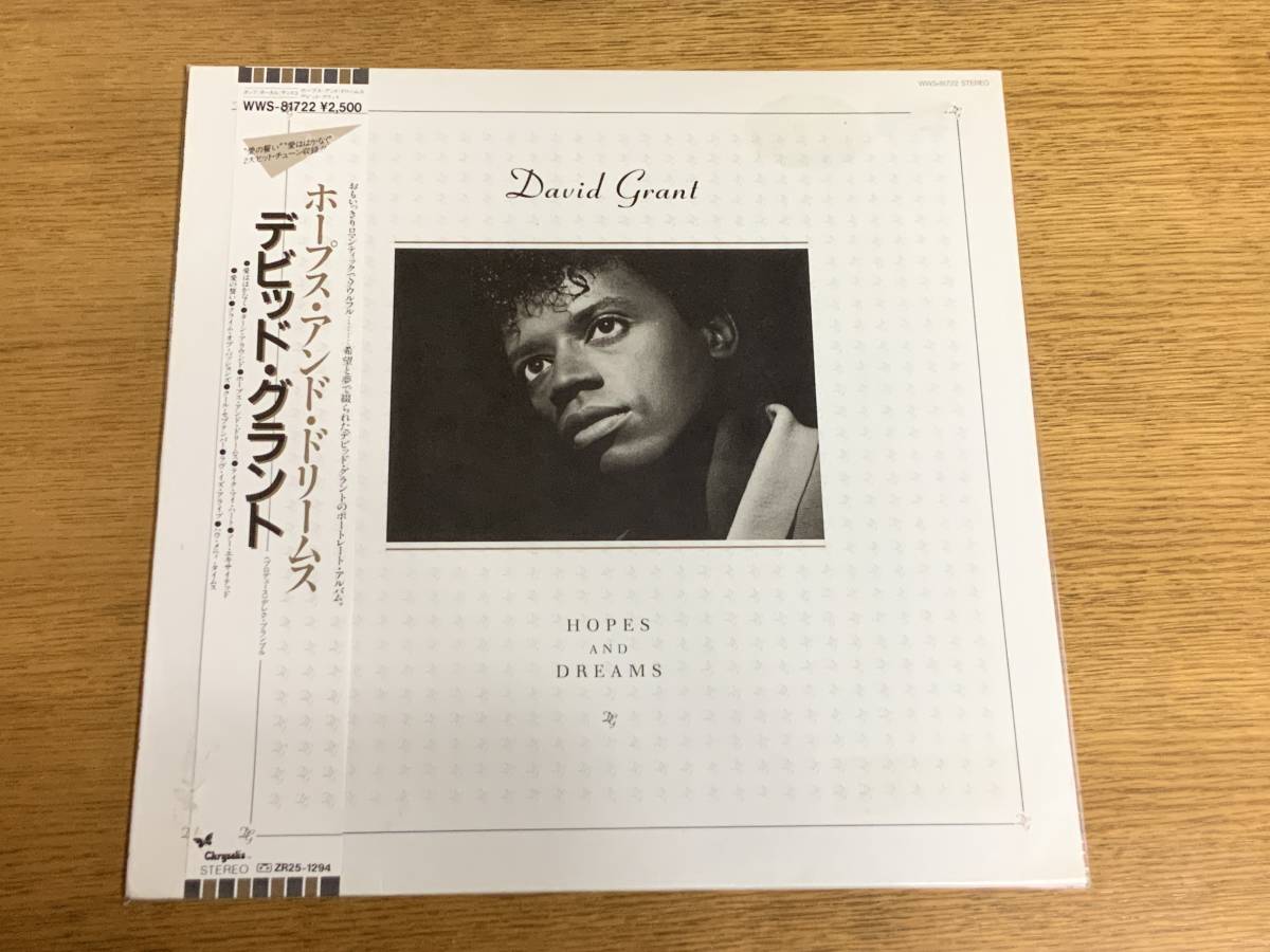 ◇ デビット・グランド/ホープス・アンド・ドリームス /プロデュースby デレク・ブランブル ディスコ ◇拍卖