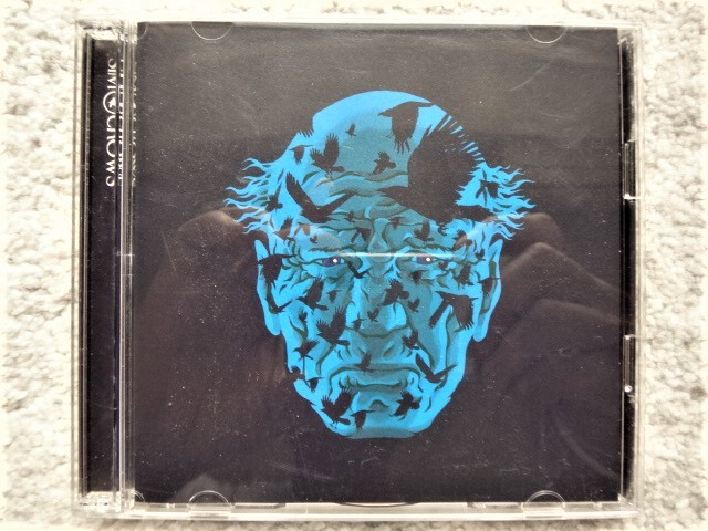 AN【 SIM / CROWS 】CD+DVD CDは4枚まで送料198円拍卖