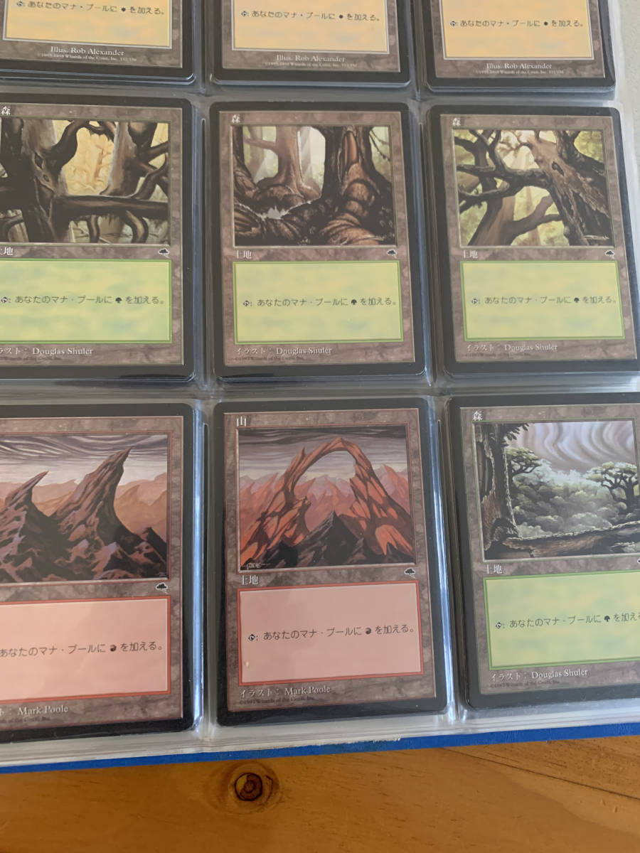 基本地形 基本土地 テンペスト 日本語版 1枚の金額拍卖