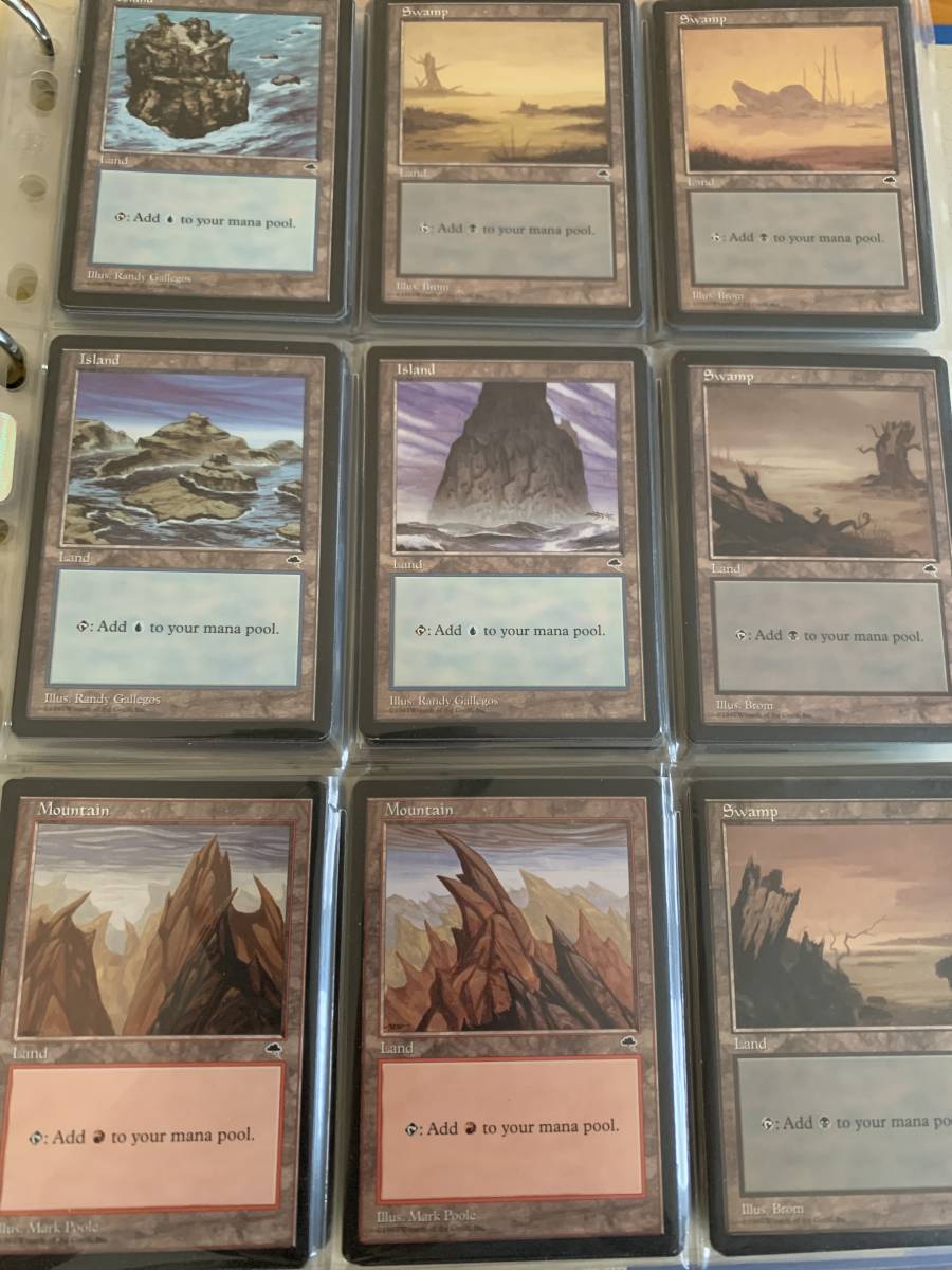 基本地形 基本土地 テンペスト 英語版 1枚の金額拍卖