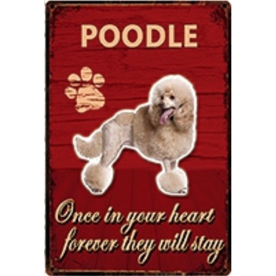 A2870 メタル サイン ブリキ 看板 金属製 プレート 注意 警告 危険 防犯 動物 ペット 犬 番犬 猛犬 トイ プードル 4356拍卖