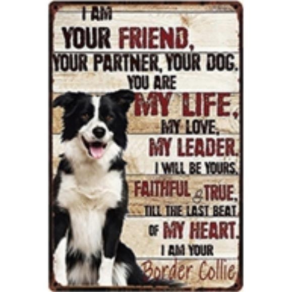 A2098 メタル サイン 金属 製 ブリキ 看板 プレート アート パネル 店 注意 動物 ペット 犬 ボーダー コリー【4976】拍卖