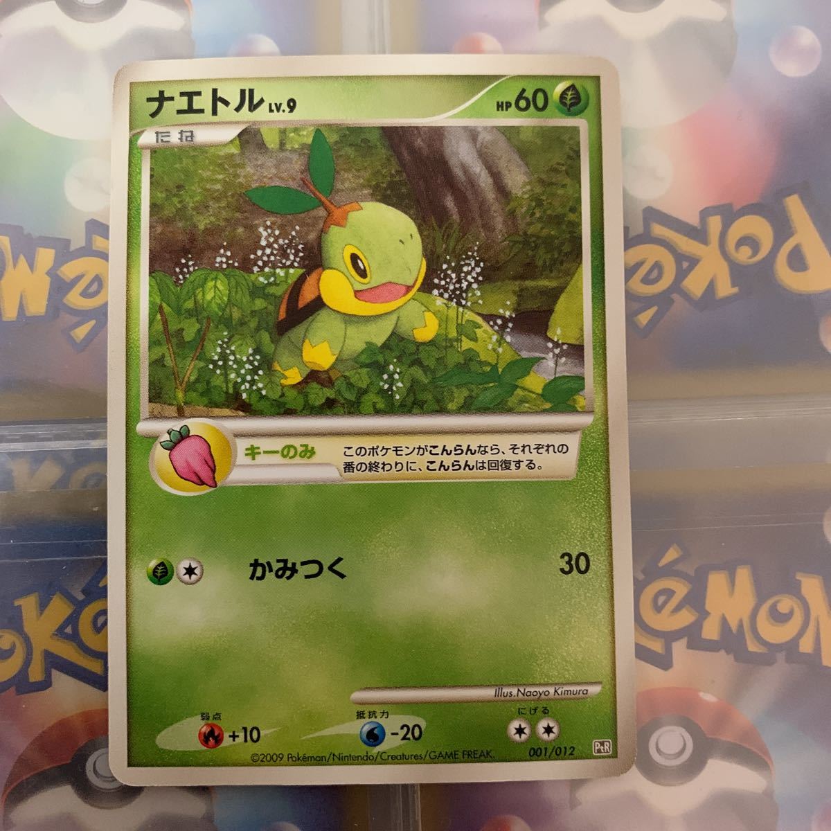 ナエトル ポケモンカード ポケモンカードゲーム拍卖
