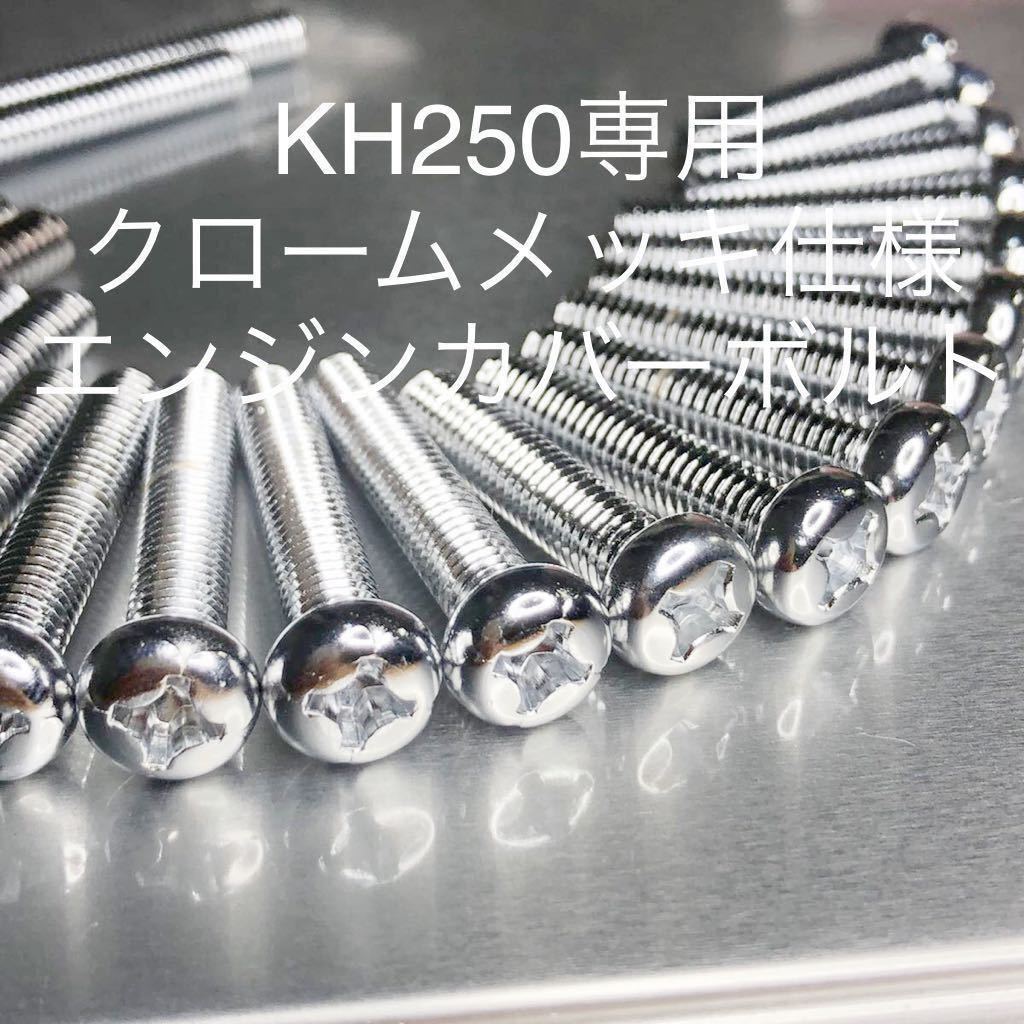 新品 クロームメッキ仕様 KH250 エンジンカバーボルト 純正同等の輝き ユニクロメッキでは出せない輝き!拍卖