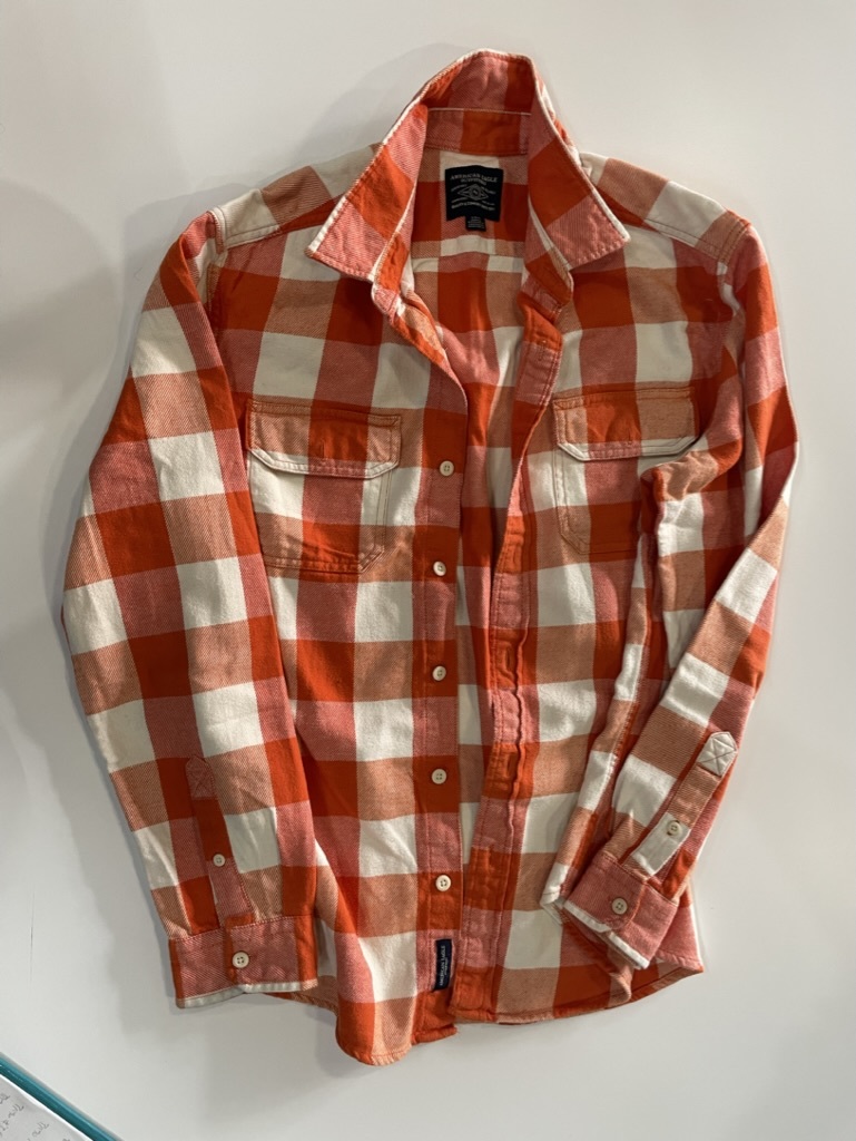 AMERICAN EAGLE ネルシャツ Lサイズ 厚手拍卖