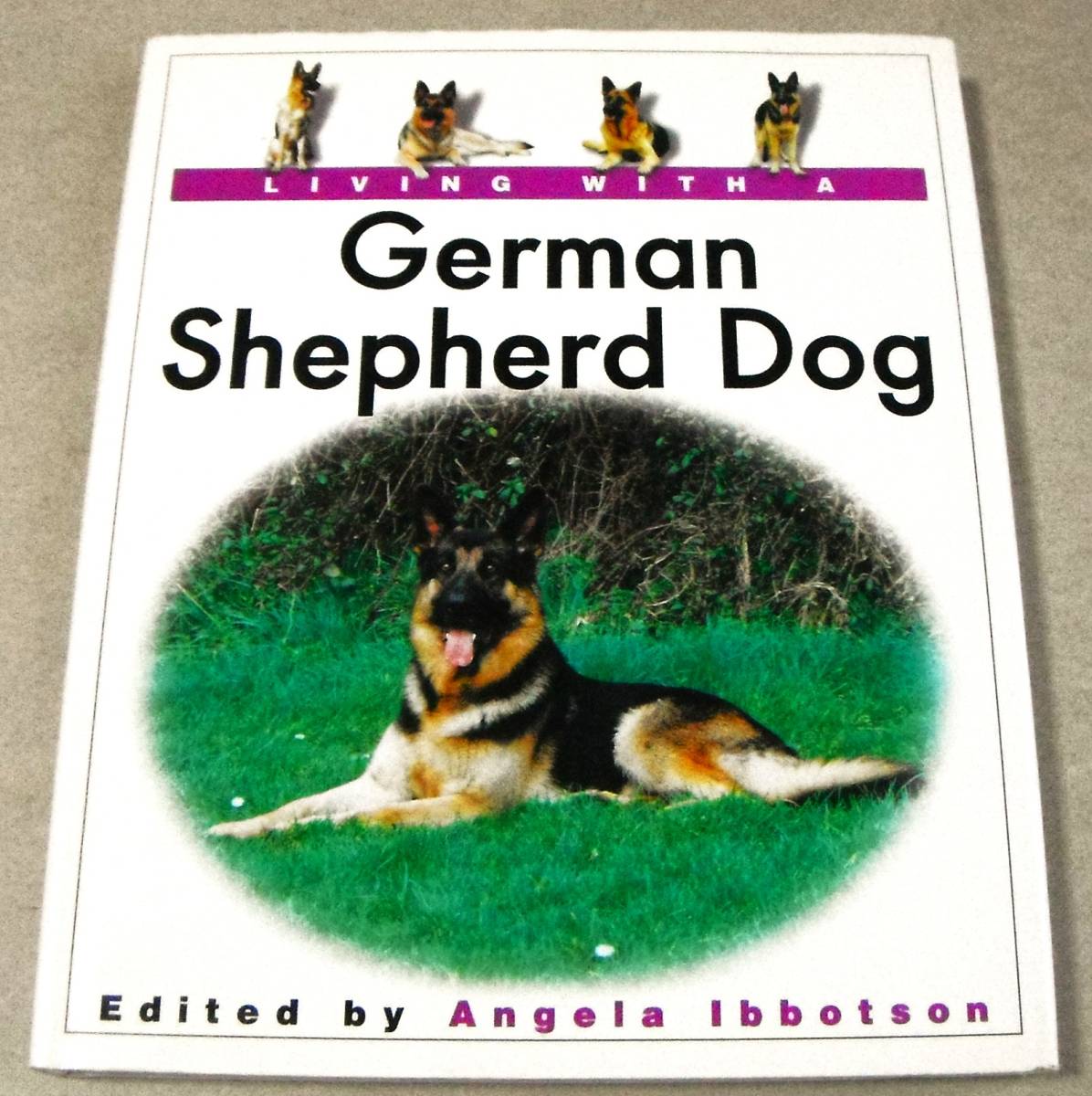洋書(シェパード)「Living With A German Shepherd Dog」Angela Ibbotson拍卖