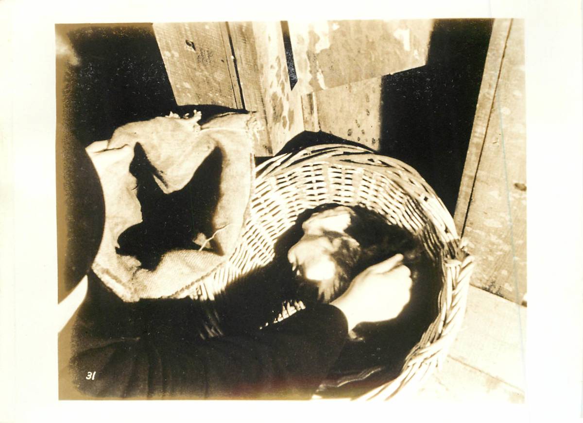 p35720『フランケンシュタイン死美人の復讐』スチル テレンス・フィッシャー ピーター・カッシング スーザン・デンバーグ拍卖