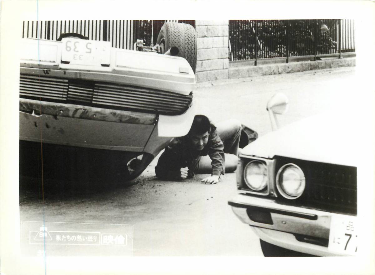 p36151『獣たちの熱い眠り』スチル 三浦友和 なつきれい 宇佐美恵子 風吹ジュン 石橋蓮司 成田三樹夫 村川透拍卖