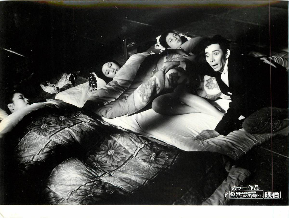 p35584『ダンプ・ヒップ・バンプ くたばれ野郎ども』スチル 渥美マリ 南美川洋子 八代順子 津山由起子 水木正子拍卖