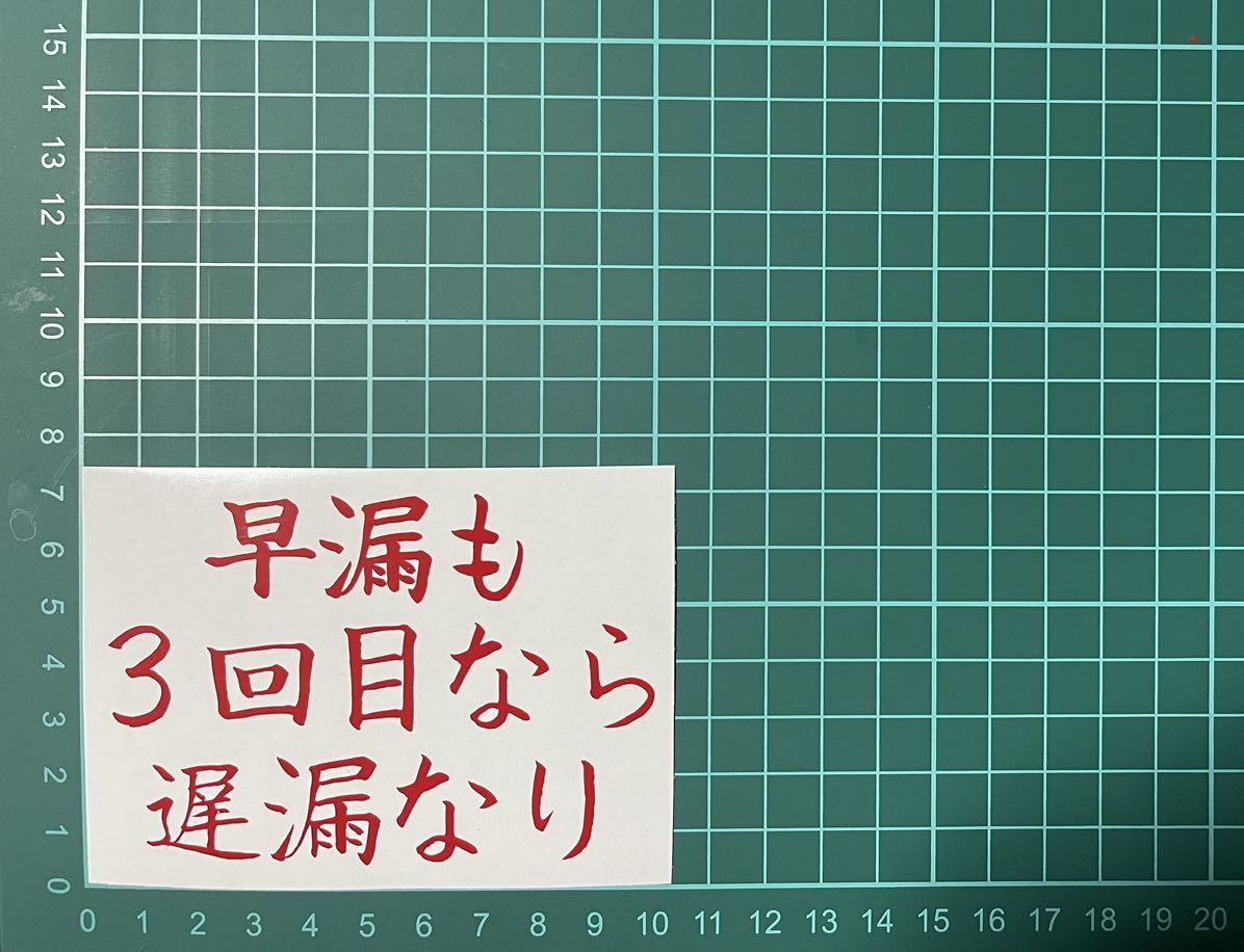 カッティングステッカー ジョーク 車 バイク シール 詩 ステッカー トラック おもしろ デコトラ 下ネタ ポエム 文字拍卖