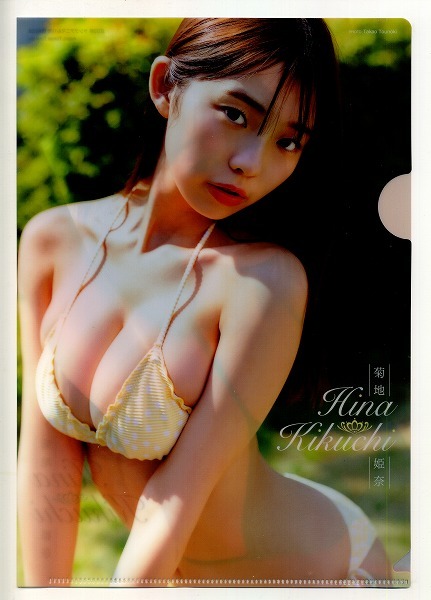 ヤングアニマル 2023年11号付録 菊地姫奈 クリアファイル拍卖