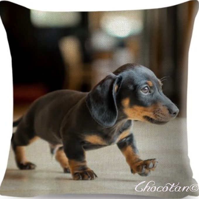 【送料無料】ダックスフンド b51 クッションカバー【新品】拍卖