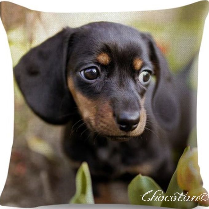 【送料無料】ダックスフンド c51 クッションカバー【新品】拍卖