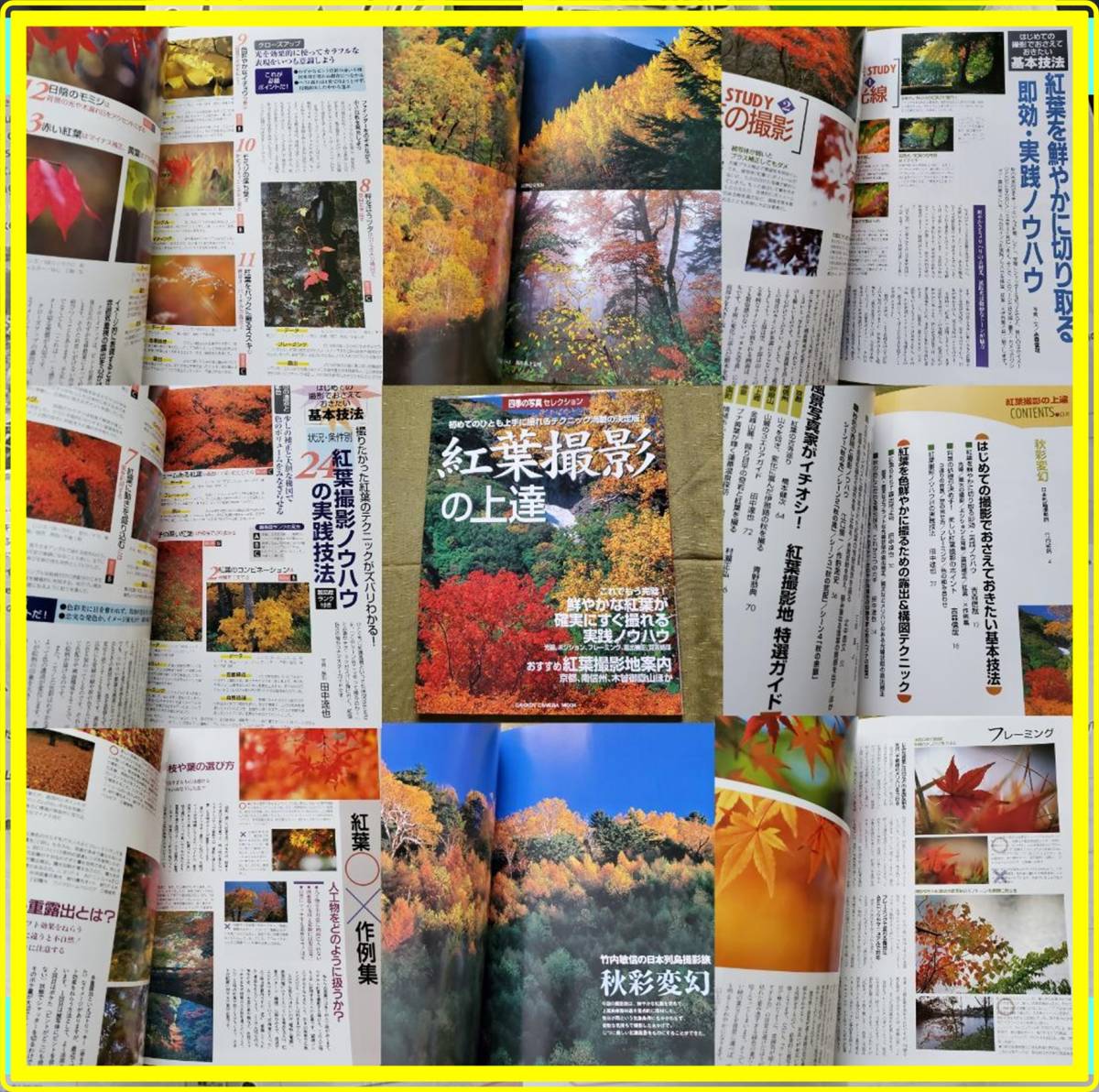 ♥♥紅葉撮影の上達 初めてのひとも上手に撮れるテクニック満載の決定版♥♥拍卖