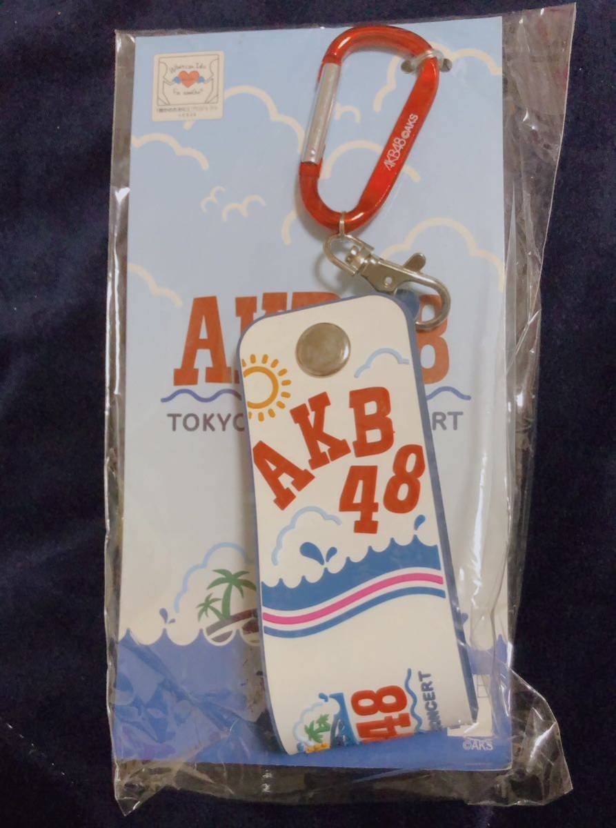 AKB48 東京ドームコンサート タオルホルダー 未開封拍卖