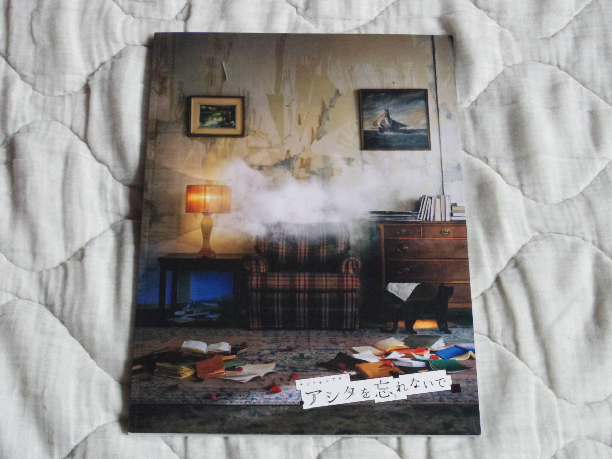 パンフ ナゾトキシアター アシタを忘れないで 有岡大貴 パンフレット拍卖