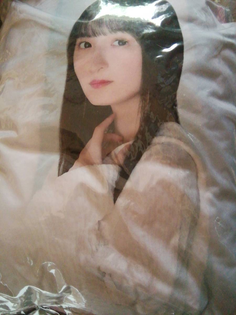 遠藤さくら メンバーデザイン個別クッション 2023年度 福袋グッズ 乃木坂46拍卖