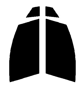 スパッタゴールド75 運転席・助手席 トヨタ プリウス ZVW50・ZVW51・ZVW55 カット済みカーフィルム 拍卖