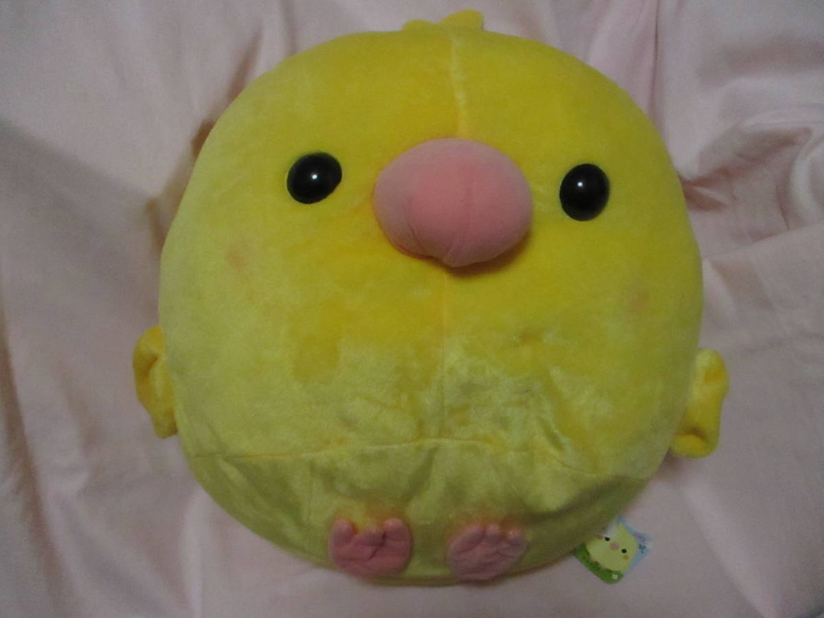 【 ことり隊 オカメルチノー でか BIG ぬいぐるみ 】新品 即決 小鳥 鳥 インコ ことり 大きい 非売品 拍卖