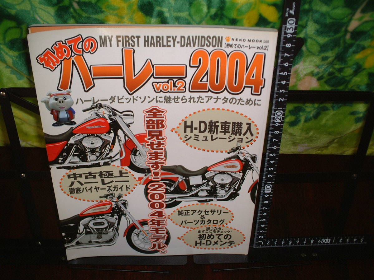 初めてのハーレー vol.2 全部見せます2004年モデル拍卖