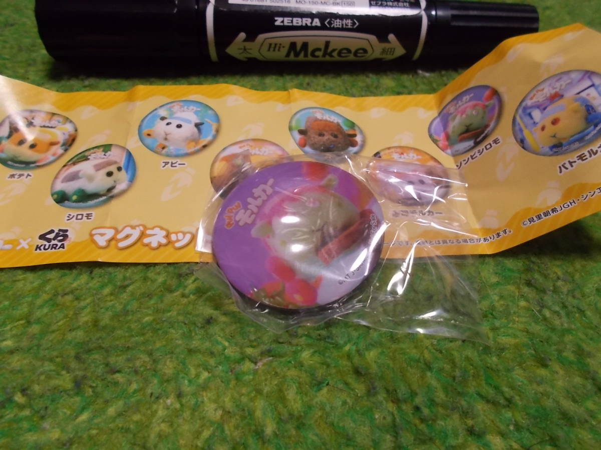 くら寿司 モルカー マグネット ゾンビシロモ拍卖