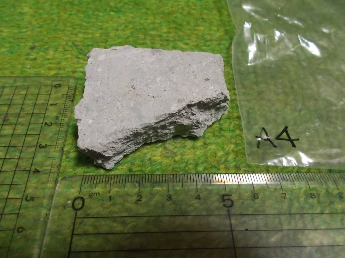 笏谷石(しゃくだにいし)A4★福井県足羽山産★岩石標本★デイサイト軽石火山礫凝灰岩★越前青石拍卖