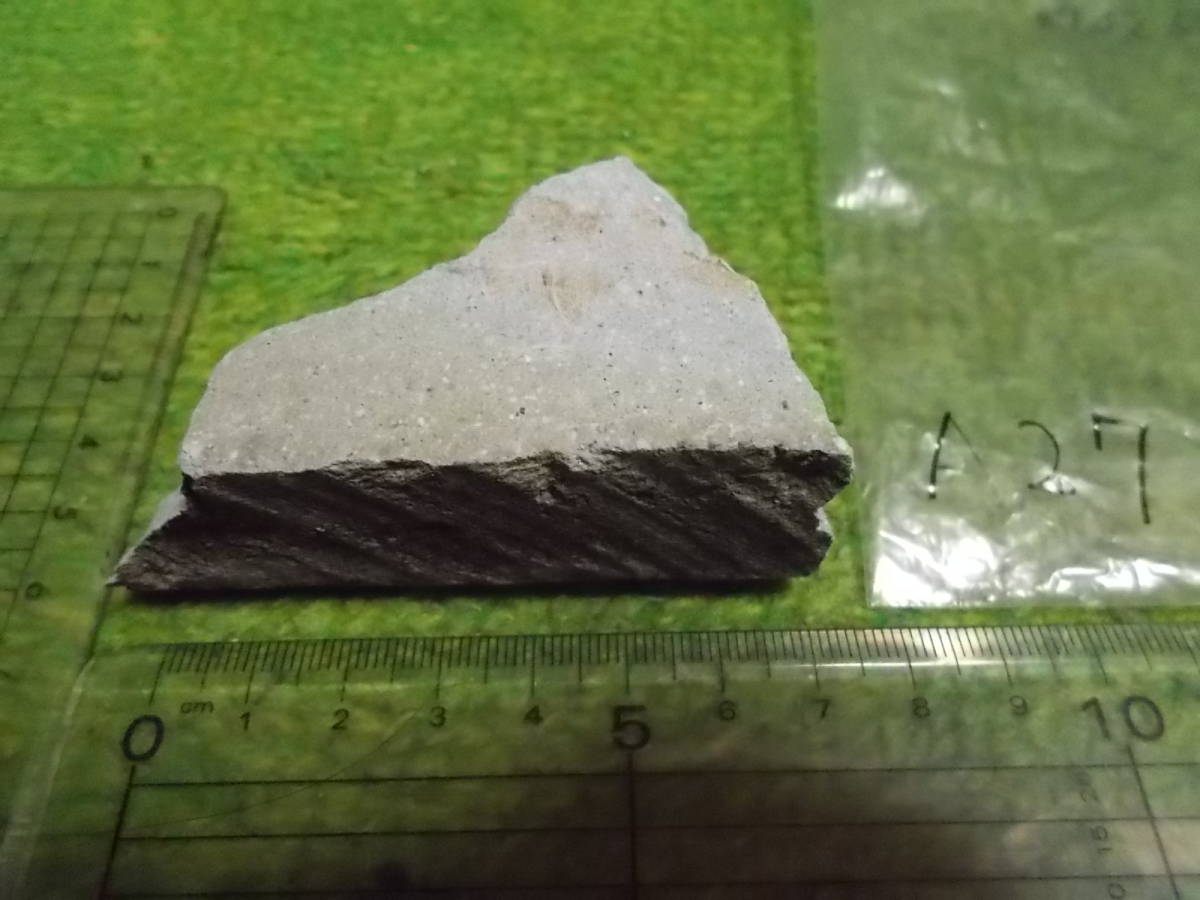 笏谷石(しゃくだにいし)A27★福井県足羽山産★岩石標本★デイサイト軽石火山礫凝灰岩★越前青石拍卖