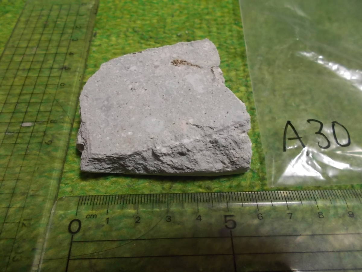 笏谷石(しゃくだにいし)A30★福井県足羽山産★岩石標本★デイサイト軽石火山礫凝灰岩★越前青石拍卖