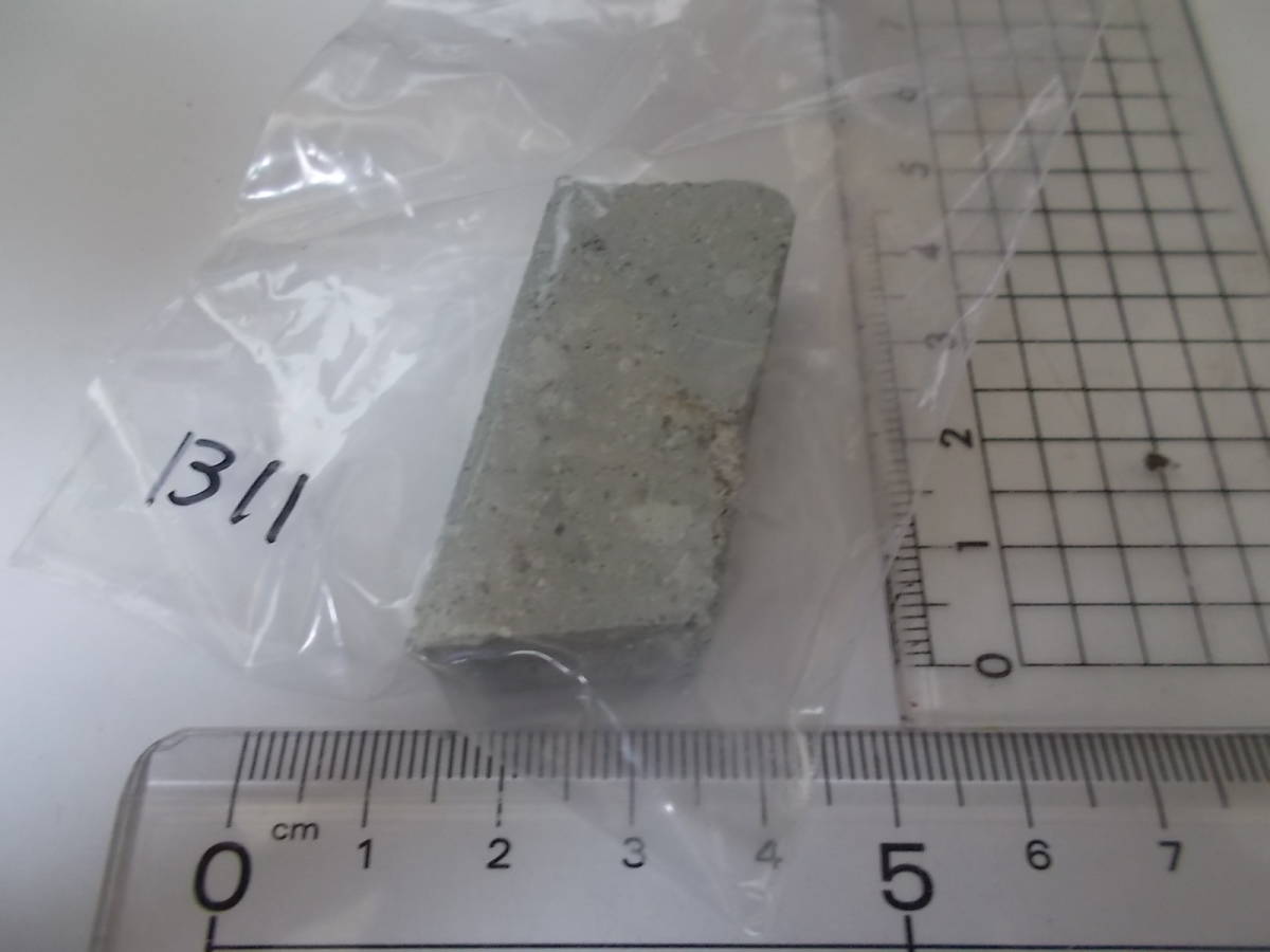 笏谷石(しゃくだにいし)B11★福井県足羽山産★岩石標本★デイサイト軽石火山礫凝灰岩★越前青石拍卖