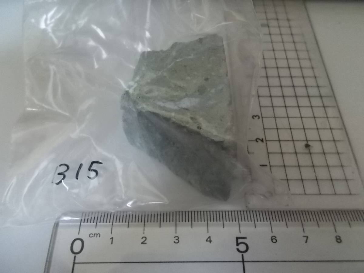笏谷石(しゃくだにいし)B15★福井県足羽山産★岩石標本★デイサイト軽石火山礫凝灰岩★越前青石拍卖