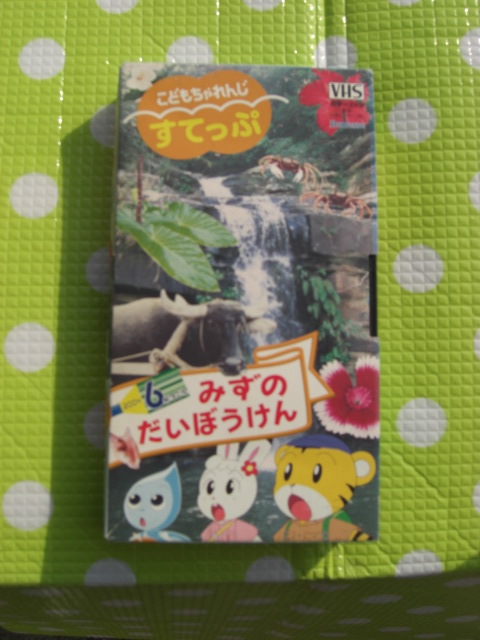 即決〈同梱歓迎〉VHS こどもちゃれんじすてっぷ2004年6月号 みずのだいぼうえん ベネッセ◎ビデオその他多数出品中θb508拍卖