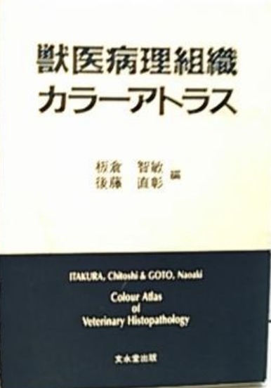 【難あり】 獣医病理組織カラーアトラス 板倉智敏・後藤直彰 文永堂 (獣医学 獣医病理学 獣医病理組織学 獣医病理組織診断学拍卖