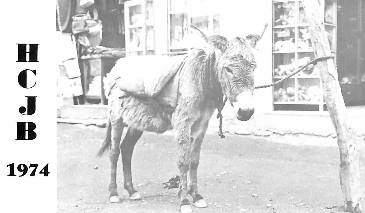 BCL★希少ベリカード★HCJB・アンデスの声+おまけ★SONY★ソリッドステート★IC11★ICF-110カラーサービスガイド付拍卖