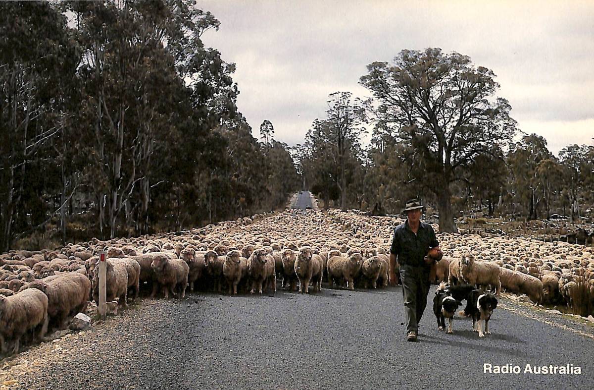 BCL★希少ベリカード★ラジオ・オーストラリア+おまけ★東芝★RP-750FT★サービスガイド付拍卖