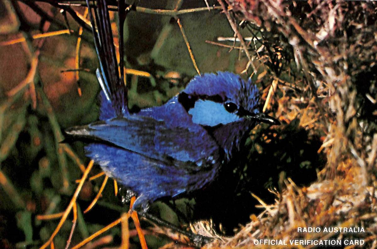 BCL★希少ベリカード★ラジオ・オーストラリア+おまけ★東芝★RP-1350F★カラーサービスガイド付拍卖