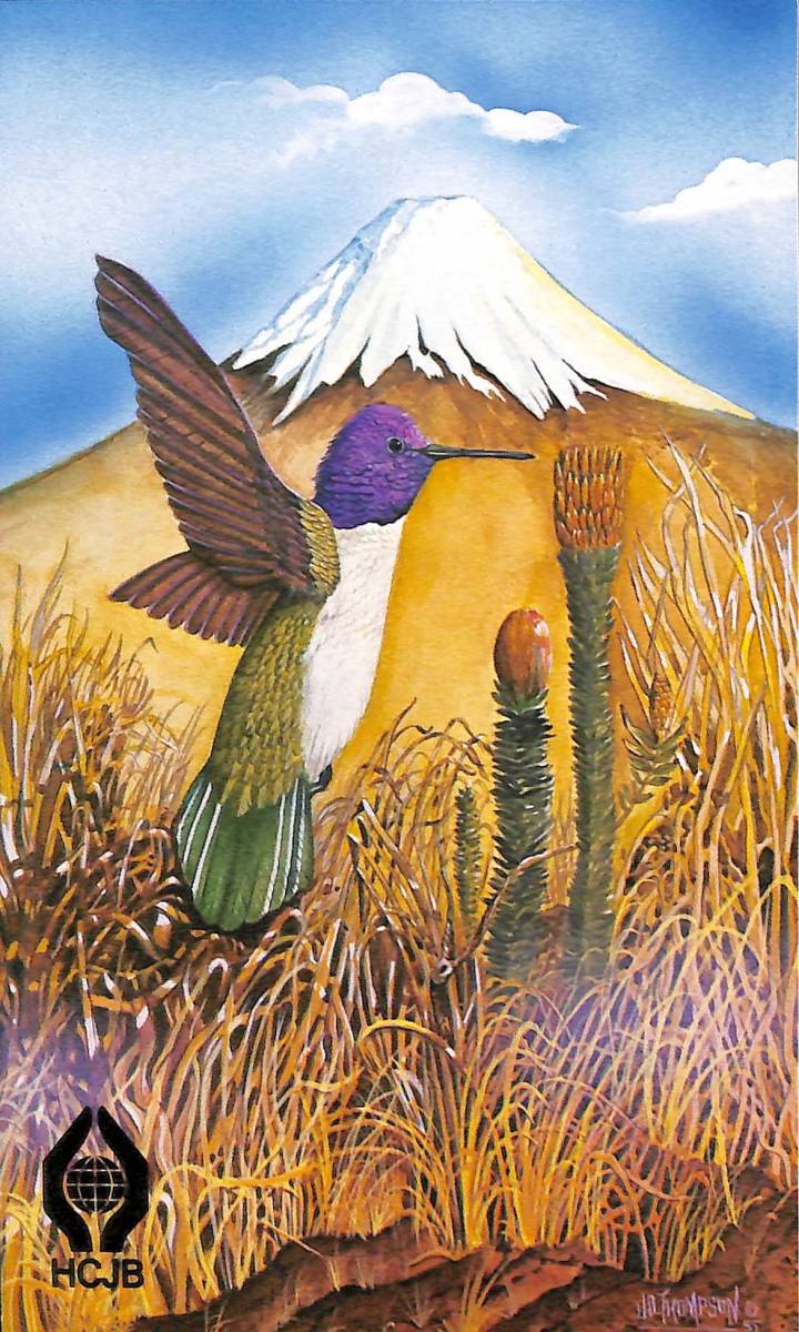 BCL★希少ベリカード★HCJB・アンデスの声+おまけ★SONY★ICF-4250カラーサービスガイド付拍卖