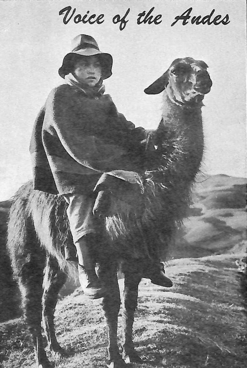 即決★送料込★BCL★ベリカード★HCJB・アンデスの声+おまけ★SONY★PLLシンセサイザー★ICF-SW1カラーサービスガイド+追加版付拍卖