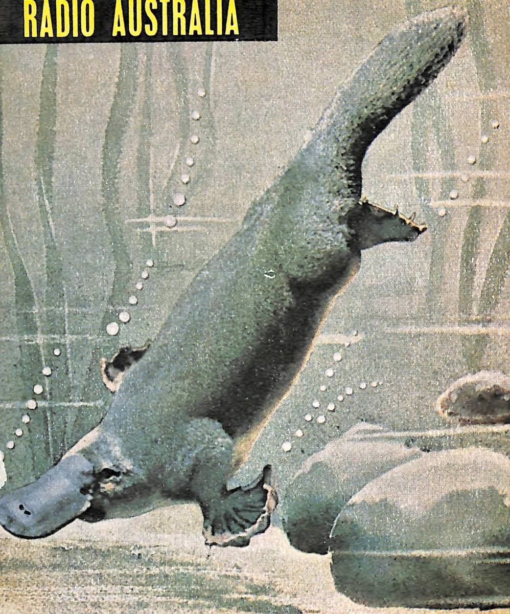 BCL★希少ベリカード★ラジオ・オーストラリア+おまけ★東芝★ICラジオ★RP-212Sサービスガイド付拍卖