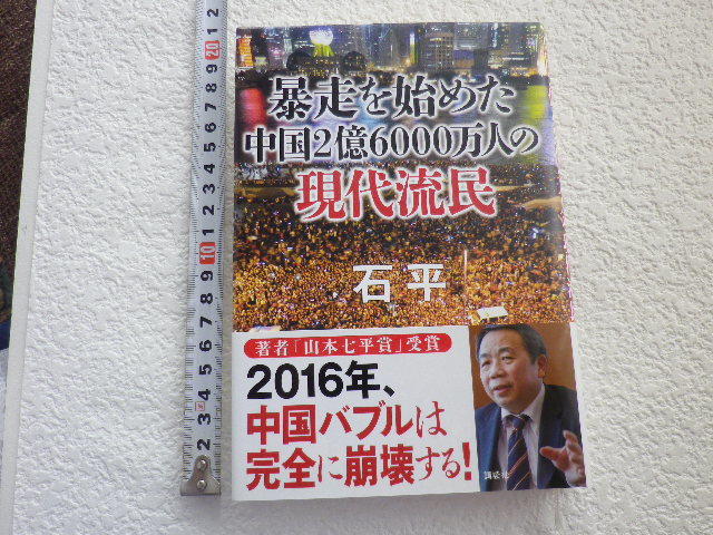 暴走を始めた中国 2億6000万人の現代流民 単行本●送料185円●拍卖
