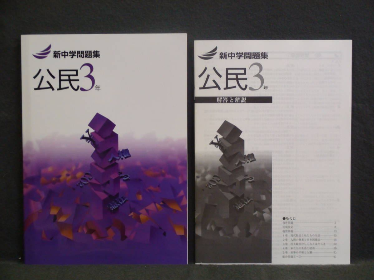 ★ 即発送 ★ 新品 新中学問題集 社会 公民 3年 中3 解答と解説付拍卖