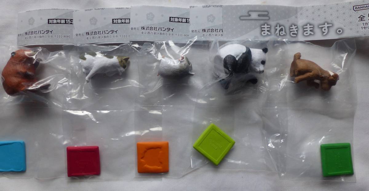 まねきます。 全5種 バンダイナムコ フルコン ガチャ サバ猫 プードル ビーバー ハムスター パンダ拍卖