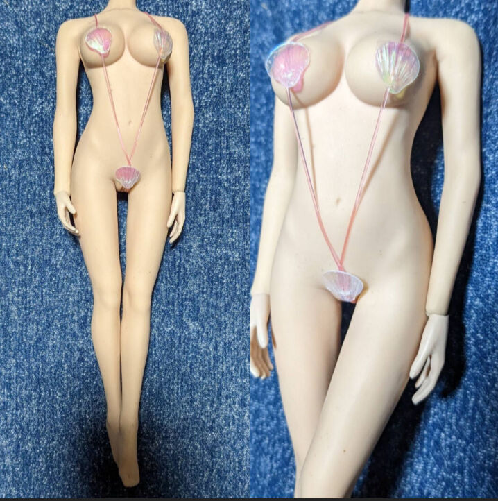 1/6ドール用 TBLeague ファイセンS07 クールガール スケルトンシェル 貝がらビキニ拍卖