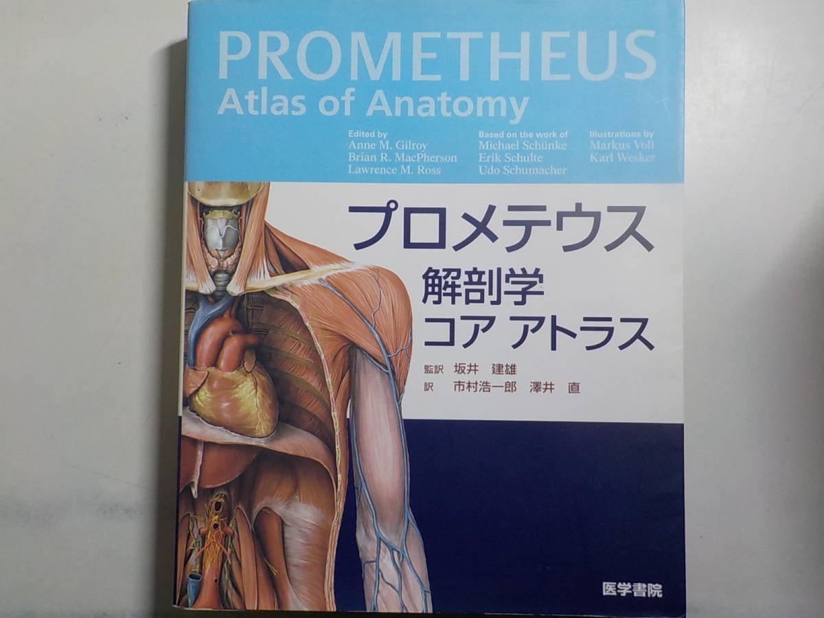 2Q6629◇プロメテウス解剖学コア アトラス 坂井建雄 市村浩一郎 澤井直 医学書院 ♪♪♪♪拍卖
