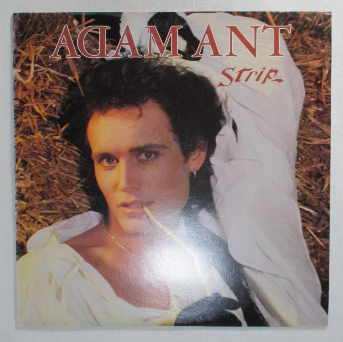 アダム・アント ストリップ Adam Ant Strip LP レコード 国内盤 ジャングルビート ニューロマンティック マルコム・マクラーレン拍卖
