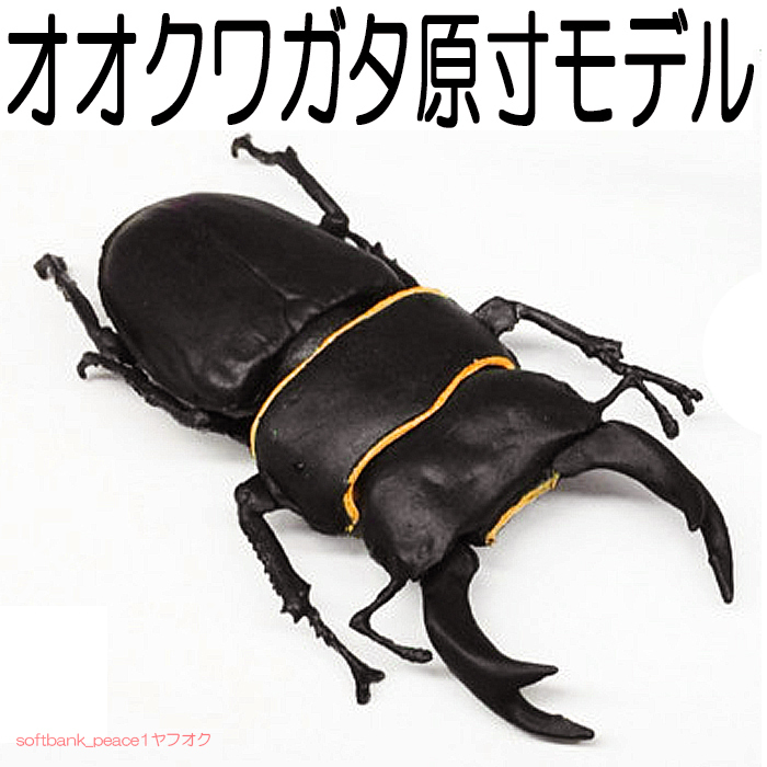 送料無料「 オオクワガタ 実物大 ミニチュア モデル 模型 オス 」日本 成虫 クワガタ 標本フィギュア 昆虫 限定品 可動 原寸 虫 レプリカ拍卖