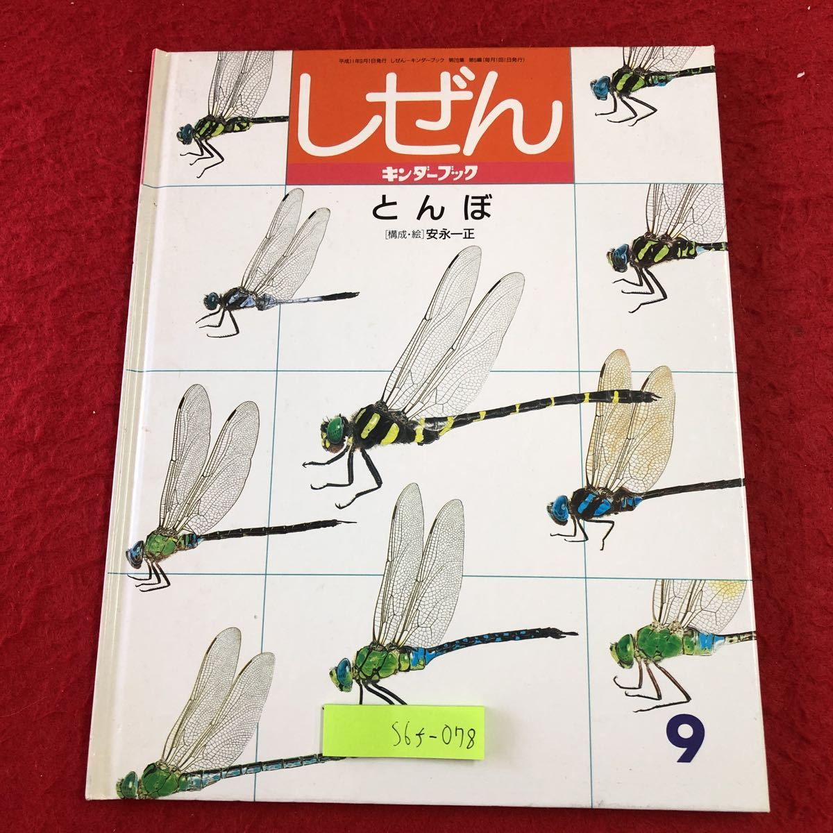 S6f-078 しぜん キンダーブック とんぼ 第28集第6編 9月号 1999年9月1日 発行 フレーベル館 児童文学 学習 子供向け 昆虫 生態 ギンヤンマ拍卖